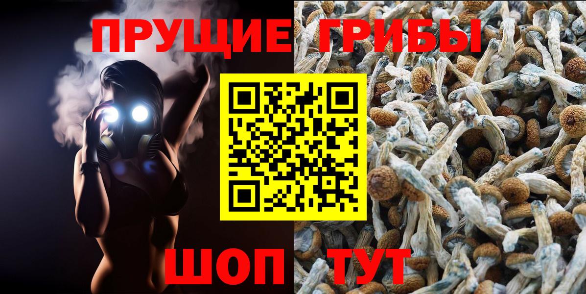 Псилоцибиновые грибы GOLDEN TEACHER Мегион