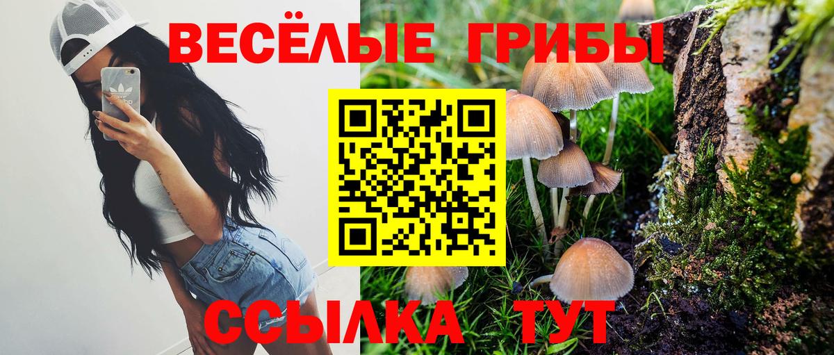 Мегион  Псилоцибиновые грибы Magic Shrooms  Вход с VPN  где можно купить наркотик  Псилоцибиновые грибы Cubensis 